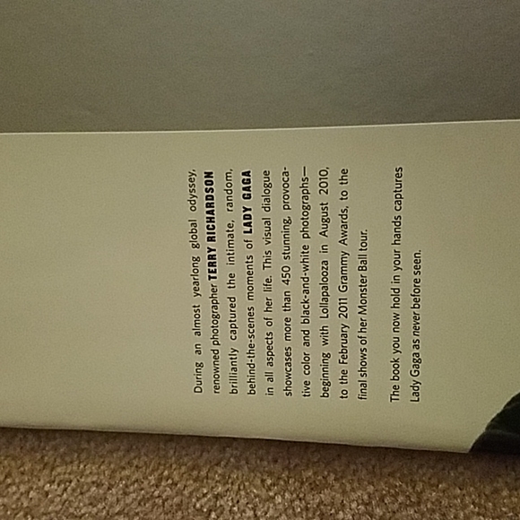 LADY GAGA TERRY RICHARDSON PHOTO BOOK - Picture 2 of 4